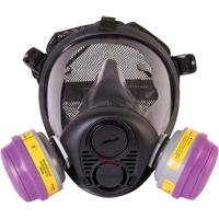Respirateur à masque complet de série RU6500 de North<sup>MD</sup>, Silicone, Grand SDN453 | Oxymax Inc