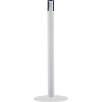 Poteaux receveurs marins, Hauteur de 38", Blanc Oxymax Inc