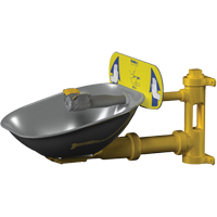 Poste de douche oculaire Halo, Installation Montage mural, Bol Acier inoxydable Oxymax Inc