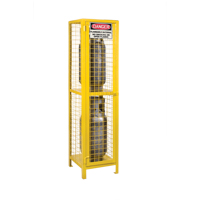Gas Cylinder Cabinets, 2 Cylinder Capacity, 17" W x 17" D x 69" H, Yellow Oxymax Inc