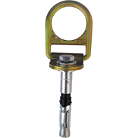 PRO Concrete D-ring Anchor with Bolt, Concrete/D-Ring, Permanent Use Oxymax Inc