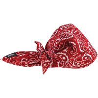 Bandeaux en triangle 6710CT de refroidissement en tissu de serviette Chill-Its, Rouge Oxymax Inc