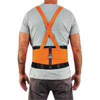 ProFlex 100HV Economy Spandex Hi-Vis Back Support Brace, Elastic, X-Small Oxymax Inc