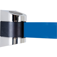 Unit&eacute;s murales Tensabarrier, Plastique, Fixation par vis, 15', Ruban Bleu Oxymax Inc