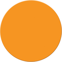 Marqueurs all&eacute;g&eacute;e/5S Armor Stripe, Cercle, 6" lo x 6" la, Orange, Plastique Oxymax Inc