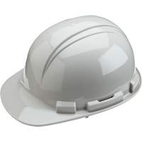 Dynamic Whistler Hardhat, Meets CSA Type 1, Pinlock Suspension, Non-Vented Oxymax Inc