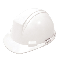 Dynamic Mont-Blanc Hardhat, CSA Type 2, Ratchet Suspension Oxymax Inc