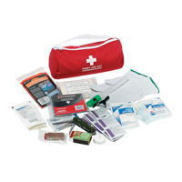 Trousse de premiers soins pour auto Dynamic, Dispositif m&eacute;dical Classe 1, Sac en nylon Oxymax Inc