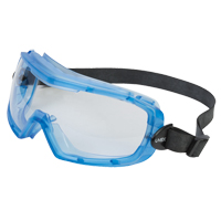 Uvex&reg; Entity Safety Goggles, Clear Lens, Anti-Fog, Indirect Vent Oxymax Inc