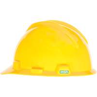 Standard Hard Hats