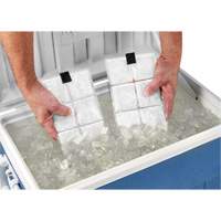 Sachets pour veste de refroidissement &agrave; changement de phase 6260 Chill-Its Oxymax Inc