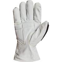 Gants r&eacute;sistant &agrave; la coupe et aux chocs Endura 378GKGVBE, Petit, Paume en Ch&egrave;vre, Poignet Conducteur Oxymax Inc