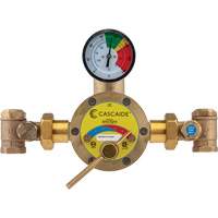 Mixing Valve for Exposed Assembly of Drench or Combination Emergency Shower, 56 GPM SGX711 | Oxymax Inc
