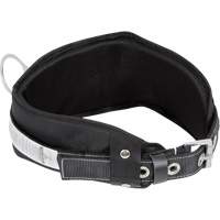 WB-6010-S Safety Restraint 1 D-Ring Belt with Padded Lumbar Support - Small Oxymax Inc
