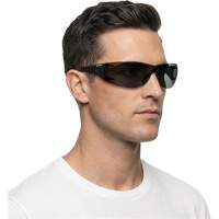 Adapt Lite Safety Glasses, Smoke Lens, Anti-Fog/Anti-Scratch, ANSI Z87+/Meets/Exceeds CSA Z94.3 Oxymax Inc