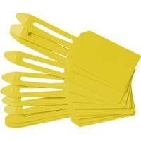 &eacute;tiquettes de cadenassage vierges en plastique, Plastique, 3-1/4" la x 5-4/5" h, Vierge Oxymax Inc