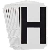 Quick-Align<sup>®</sup>Individual Gothic Number and Letter Labels, H, 4" H, Black SZ996 | Oxymax Inc