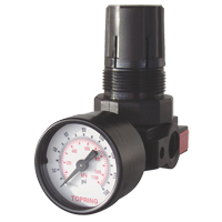 Mini Regulators, 1/4" NPT, 165 PSI Max. PSI, Modular Oxymax Inc