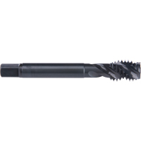 Taraud &agrave; cannelure en spirale 45°, Acier rapide au cobalt, Filet de 6-32, 2" l Oxymax Inc