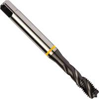Taraud &agrave; goujures h&eacute;licoidales Yellow Shark, Acier rapide au cobalt, Filet de 1/4"-20, 3,15" l Oxymax Inc