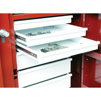 Rolling Work Bench, 49-7/8" W x 40-5/8" H x 26-7/8" D, 24.6 Cubic Feet Capacity Oxymax Inc