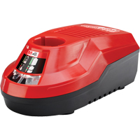 M4 Charger, 4 V, Lithium-Ion Oxymax Inc