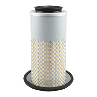 PA3833 &eacute;l&eacute;ment de filtre &agrave; air Oxymax Inc