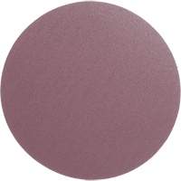 PSA Cloth Disc 348D, 12" Dia., 60 Grit, Aluminum Oxide, X-Weight Oxymax Inc