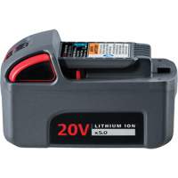 IQV20 High Capacity Battery, Lithium-Ion, 20 V, 5 Ah Oxymax Inc