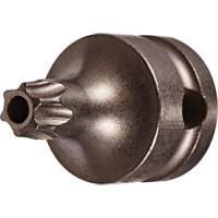 Socket Bit, Torx&reg; Tamper, 25 x 1" L, 3/8" Drive Oxymax Inc