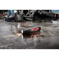 USB Compatible Compact Flashlight, LED, 800 Lumens, Rechargeable Batteries Oxymax Inc