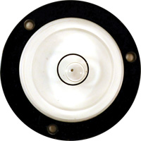Niveau Bull's-Eye Oxymax Inc
