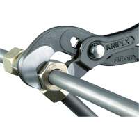 Pince Raptor, 10" Oxymax Inc