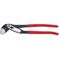 Pince multiprise auto-bloquante Alligator&reg;, 12" Oxymax Inc