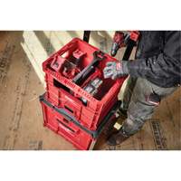 Caisse Packout, 15-3/4" x 18-5/8" x 15", Noir/Rouge Oxymax Inc