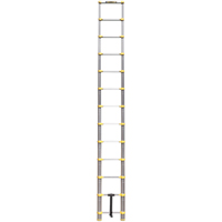 Telescopic Ladder, 3' - 12', Aluminum, 250 lbs. Capacity, Type 1 VC441 | Oxymax Inc