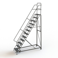 Heavy Duty Rolling Ladder, 12 Steps, 24" Step Width, 120" Platform Height, Steel Oxymax Inc