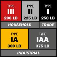 Escabeau avec plateau &agrave; peinture, 10', Aluminium, Capacit&eacute; 225 lb, Type 2 Oxymax Inc