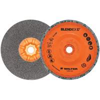 Blendex U™ Finishing Cup Disc, 5" Dia., Fine Grit, Silicon Carbide VV859 | Oxymax Inc