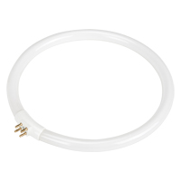 Ampoule fluorescente de rechange pour lampes-loupes Rhinomag, 22 W Oxymax Inc