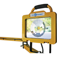 Heavy-Duty Dock Light, 40" Arm, 38 W, LED Lamp, Metal Oxymax Inc