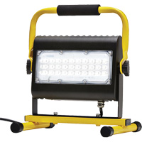 Flood Light, LED, 50 W, 4800 Lumens, Aluminum Housing Oxymax Inc