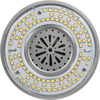 Lampe haute luminosité Ultra LED<sup>MC</sup>, DHI, 100 W, 13500 lumens, base Mogul XI565 | Oxymax Inc