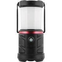 Lanterne ajustable EAL22 XI997 | Oxymax Inc