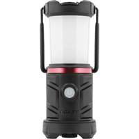 Lanterne de zone d'urgence EAL13 Oxymax Inc