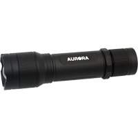 Lampe de poche IP67, DEL, 2000 lumens, Piles Rechargeable Oxymax Inc