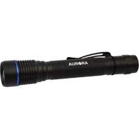 IPX7 Flashlight, LED, 250 Lumens, AA Batteries Oxymax Inc