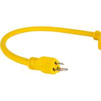Adaptateur de rallonge d'alimentation, Ext&eacute;rieur, STOW, AWG 12/3, 15 A, 3 prise(s), 2' Oxymax Inc